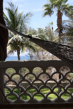 A Hammock at the Cabo Surf Hotel