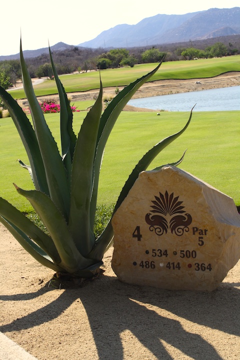 A Golf Course in Cabo San Lucas, Mexico combines water, desert and mountains. 