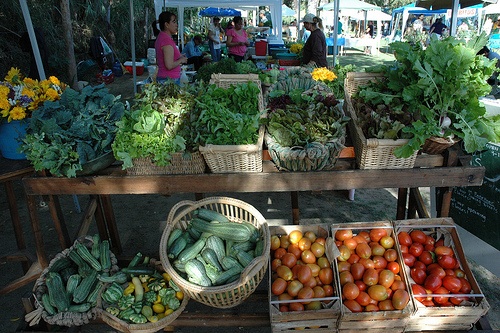 Organic Market in San Jose del Cabo