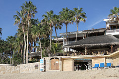 Cabo Surf Hotel and Spa is the perfect mix of luxury boutique hotel and surf-side bungalow.