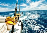 Ocean Fishing Reels